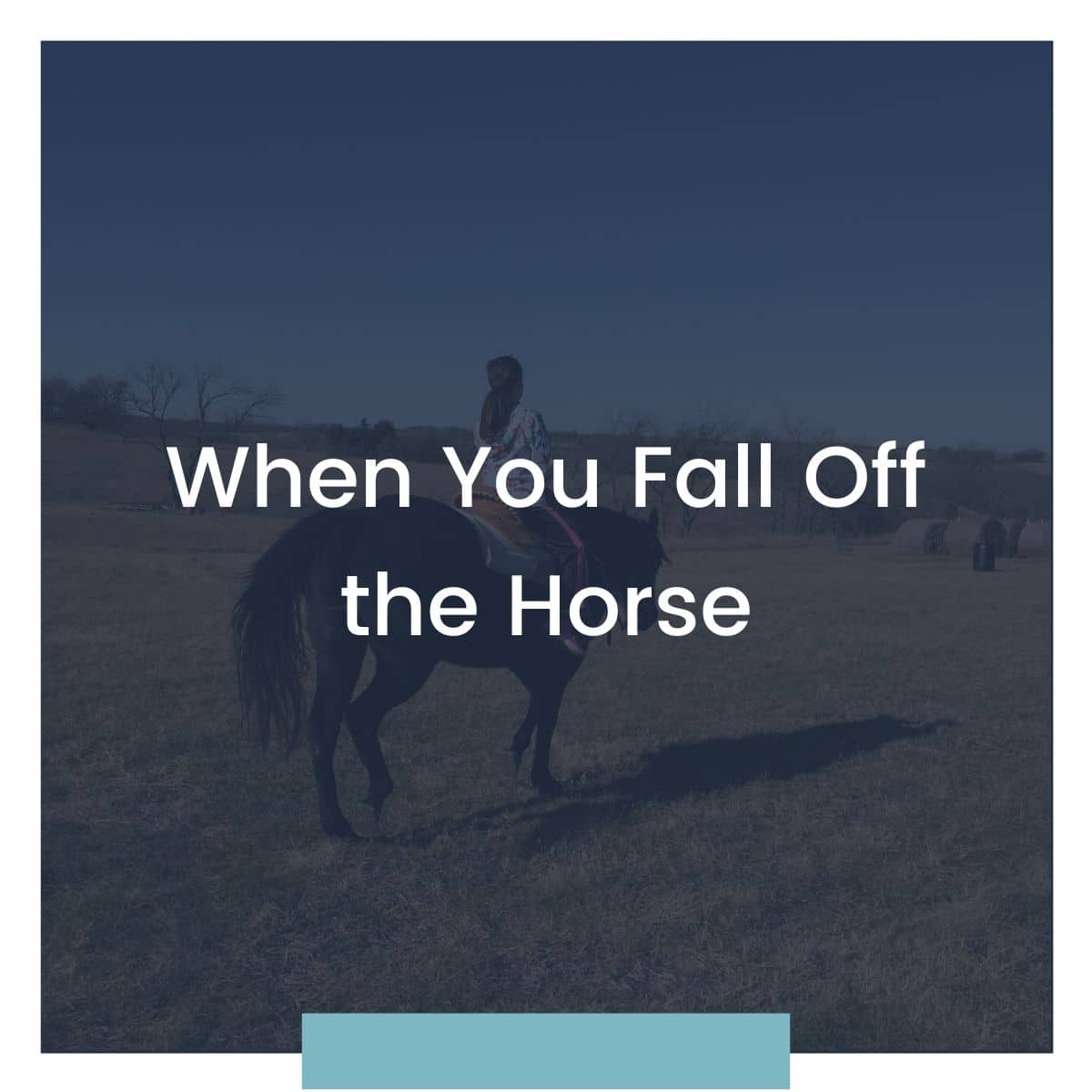 When You Fall off the Horse Justin Ricklefs